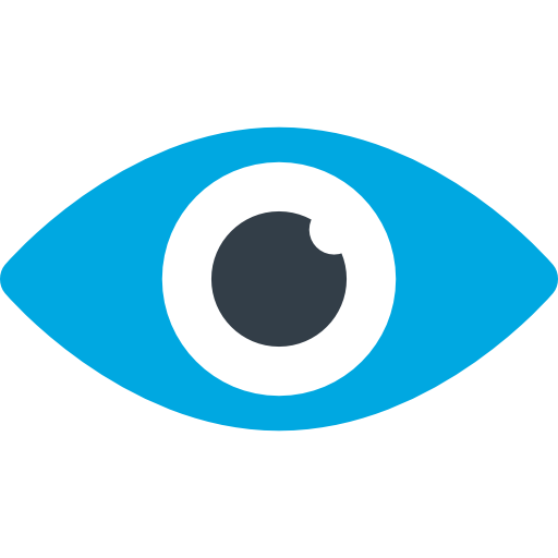 Vision
