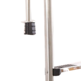 NSF-215 2-Step Pool Ladder