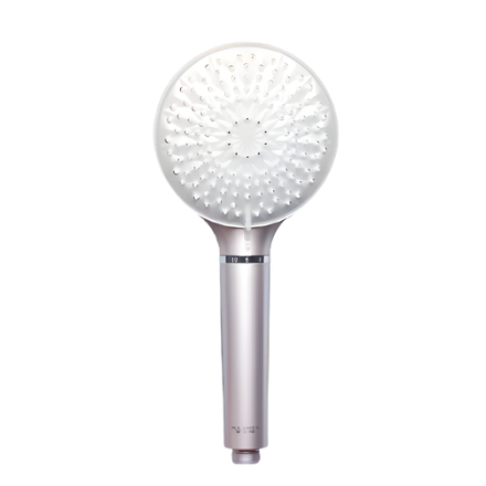 A.O. Smith Beauty Shower FS-55A