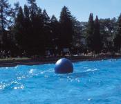 WOW Wave Balls, for ocean waves in pools