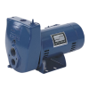 Pentair Sta-Rite SL Series ProJet Cast Iron Convertible Jet Pumps